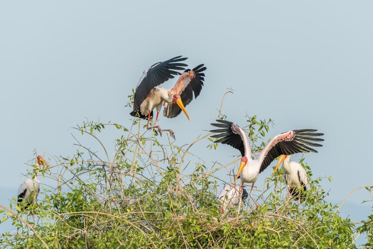 Lake Natron Maasai Giraffe Eco Lodge And Camping Mtowabaga Экстерьер фото