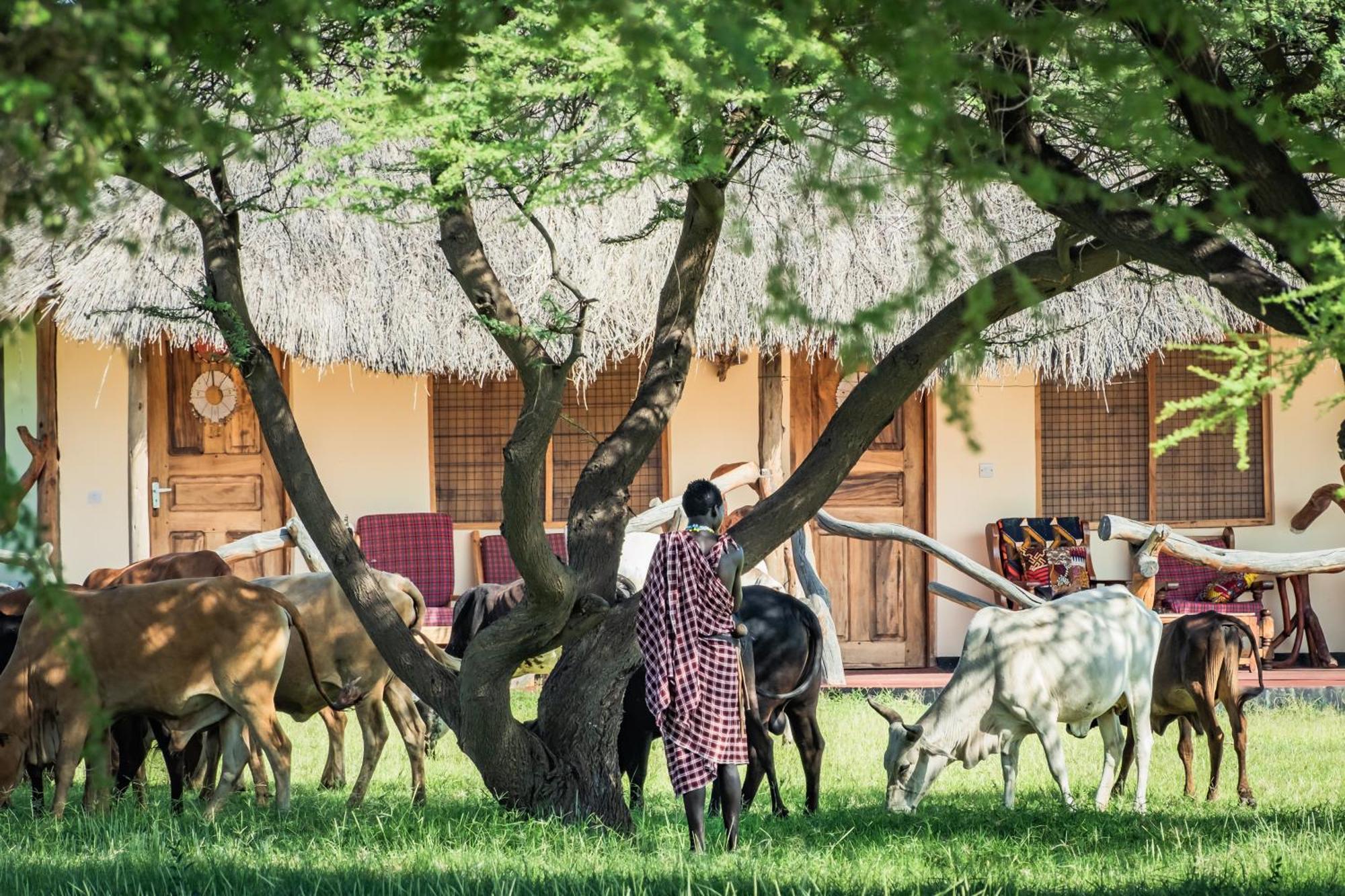Lake Natron Maasai Giraffe Eco Lodge And Camping Mtowabaga Экстерьер фото