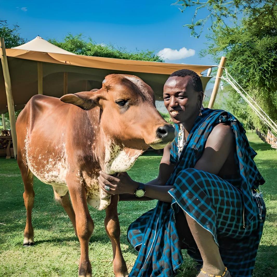 Lake Natron Maasai Giraffe Eco Lodge And Camping Mtowabaga Экстерьер фото